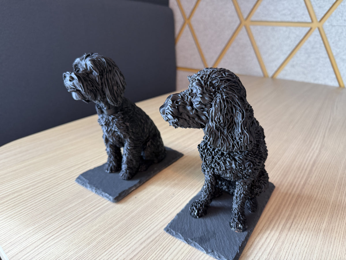 Large Model Print