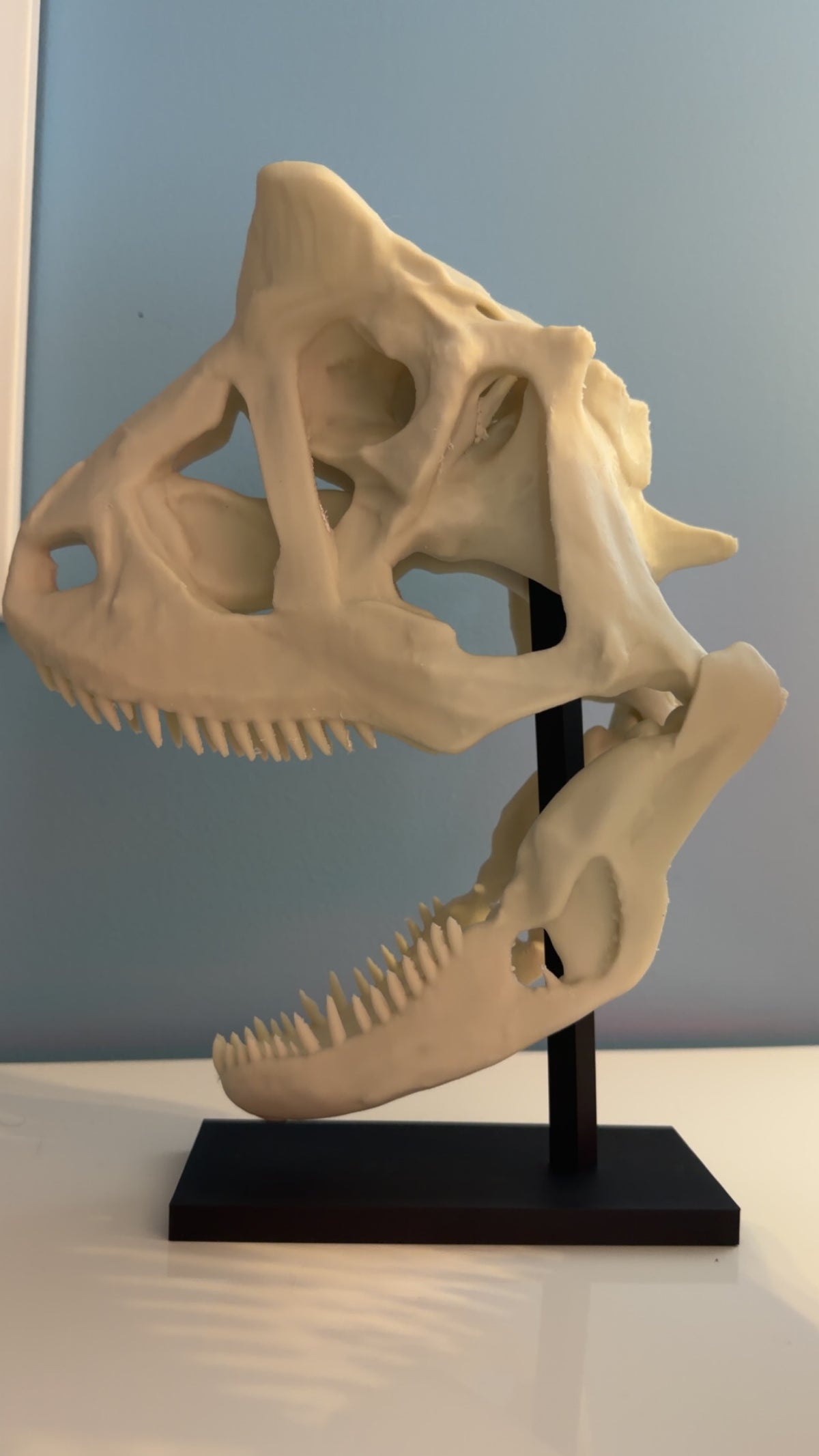 Large Model Print