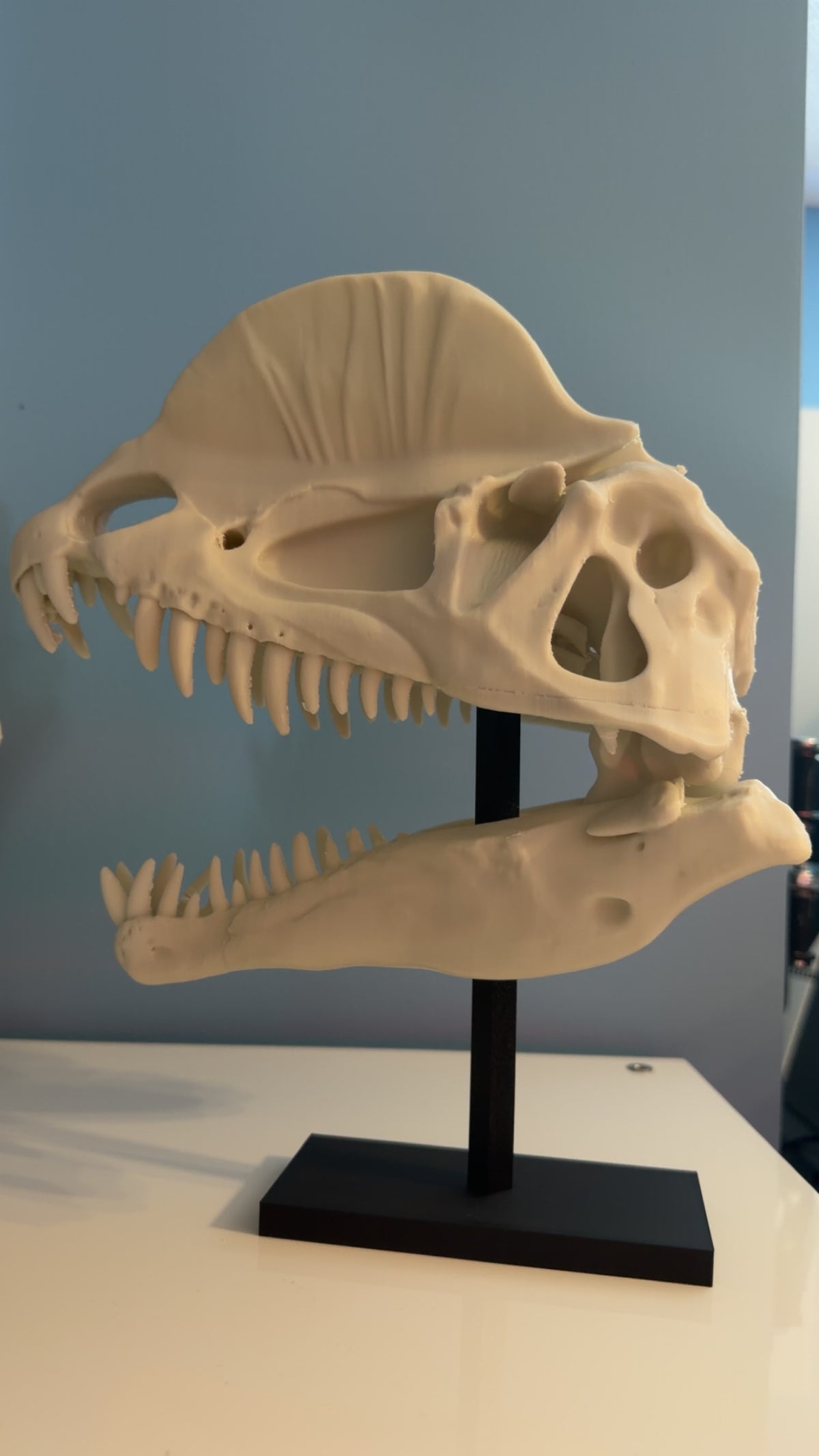 Large Model Print