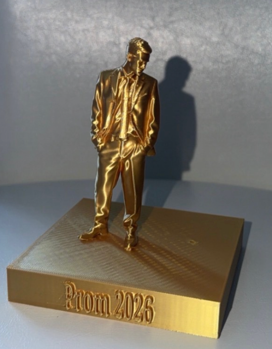 Medium Model Print